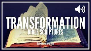 Bible Verses About Transformation | What The Bible Says About Being Transformed and Transformation