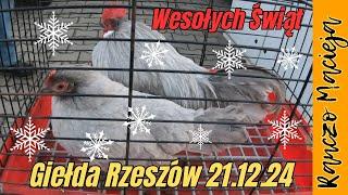 Giełda Rzeszów 21.12.24 #448 [4K]