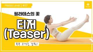 [Thesem 필라테스] Level 2 #37 필라테스의 꽃!! 티저(Teaser) 동작 / Pilates