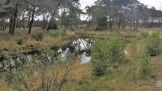 Streekpad 16 Veluwe zwerfpad deel 2 Harskamp-Lunteren