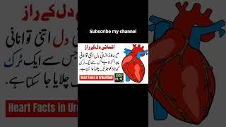 heart facts amazing facts#youtubeshorts  #facts  #bint-saleh