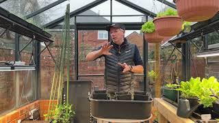 Making a start on the very early potatoes