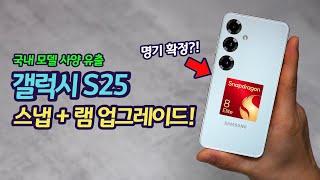 갤럭시 S25 명기 탄생? 5년만에 램 용량 업그레이드 + 전량 스냅드래곤  | 하지만 가격이…