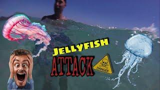 The giant Jellyfish attack, attacco della medusa gigante