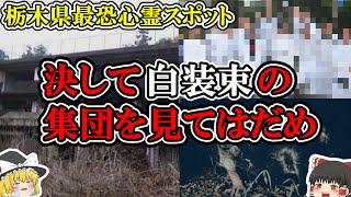 【ゆっくり解説】絶対行くな！栃木県野木町「旧野木病院」