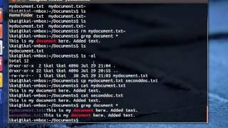 Intro to Linux Lesson 1: cd, ls, pwd, cat, grep