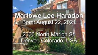 Marlowe Lee Haradon - FIRST YEAR