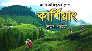 Kurseong Tour Plan || কার্শিয়াং ভ্রমণ গাইড।