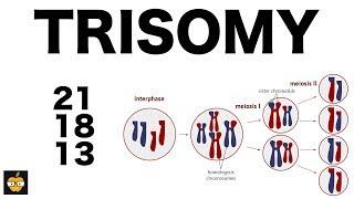 Trisomy (21, 18, and 13) & Nondisjunction Genetics