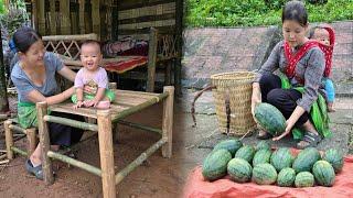 17-year-old single mother: Making a beautiful bamboo tables and chairs, Harvesting tiny watermelons.