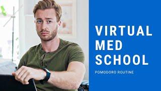 Med school online? A day of virtual medical school