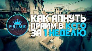 КАК БЫСТРО АПНУТЬ ПРАЙМ В КС ГО ЗА 1 НЕДЕЛЮ (КАК БЫСТРО АПНУТЬ 21 УРОВЕНЬ В CS GO)