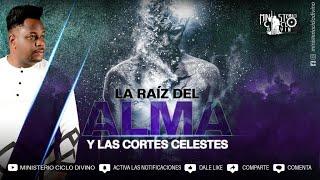 LA RAIZ DEL ALMA Y LAS CORTES CELESTES