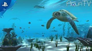 Aqua TV - Official Trailer | PS4