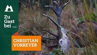 Rotwildjagd | Zu Gast bei … Christian Vorreyer | Hirschjagd | Red Stag | Deutsche Wildtier Stiftung