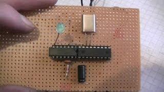 Build PLL regulator circuit on breadboard - eflose #213