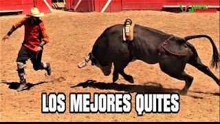 PARTE 2, LOS MEJORES QUITES EN EL JARIPEO