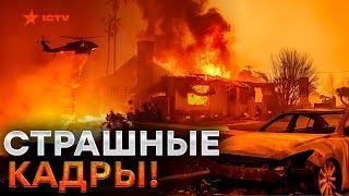 "Как будто взорвалась ЯДЕРНАЯ бомба"  ДОМА людей ГОРЯТ   ПОЖАРЫ уничтожают ЛОС-АНДЖЕЛЕС @dwrussian