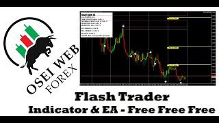 Flash Trader Indicator and EA  -  Free