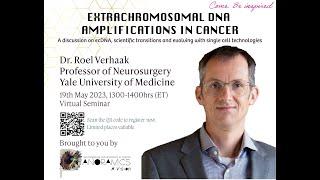 Extrachromosomal DNA Amplifications in Cancer