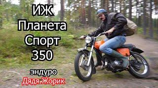 ИЖ Планета Спорт 350 /оранжевая мечта / эндуро / Дядя Жорик в лесу