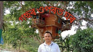 Tree house#Udalguri//tea garden//