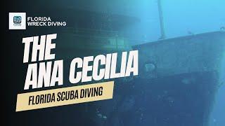 Scuba Diving the Ana Cecilia Wreck: Florida Dives 2015, 2020 & 2024