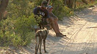James Hendry meets wild dogs on foot