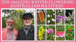 Ten amazing winter flowering Australian natives!