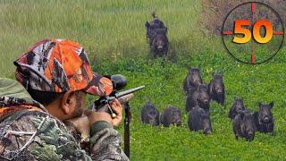 TOP 50 WILD BOAR SHOTS (MOST EXCITING HUNTING SCENES) #hunting #hog