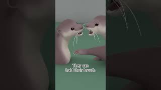 Never Separate the Otter Family!  | Leo the Wildlife Ranger | #shorts #education #kids