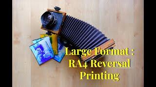 Large Format - RA4 Reversal Processing