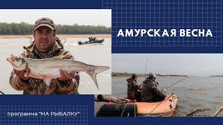 Амурская весна