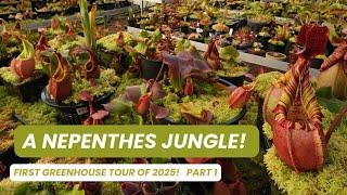 Nepenthes Tour: One of the USA's Most Stunning Collections!