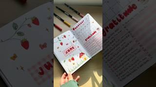 June bullet journal flip through 
