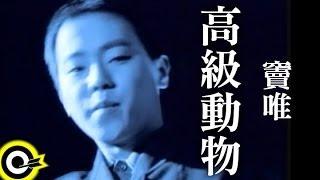 竇唯 Dou Wei【高級動物 The higher being】Official Music Video