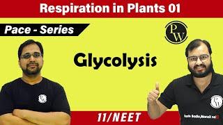 Respiration in Plants 01| Glycolysis | Class 11 | Pace series | NEET