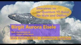 Interview mit Birgit Aurora Eisele - Wale Delfine und DU