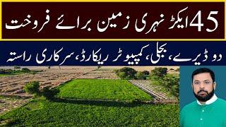 Land for sale in pakistan | پینتالیس ایکڑ نہری زمین برائے فروخت