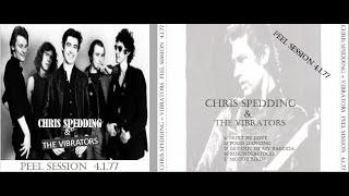 CHRIS SPEDDING & THE VIBRATORS : 4.1.77 John Peel Session : UK Punk Demos