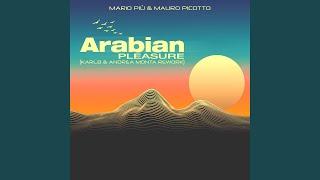 Arabian Pleasure (Karl8 & Andrea Monta Rework)