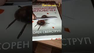 Книжная перестановка