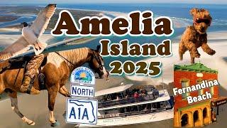 AMELIA ISLAND | Fernandina Beach, Cumberland Island, North Jacksonville Beaches