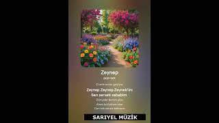 Zeynep ( Pop Rock Şarkı) | İhsan SARIYEL& Müzik Adamlar