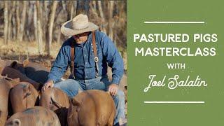 Joel Salatin's Pastured Pigs Masterclass - Trailer