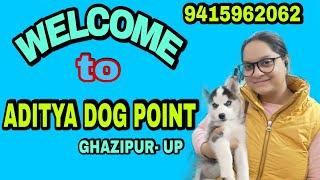 Welcome to Aditya Dog Point- Ghazipur Up