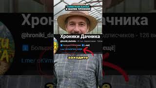 Лучшая дрожжевая подкормка или как оживить любые растения #огород #сад #дача #удобрение