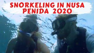 NUSA PENIDA SNORKELING | Manta Bay, Crystal Bay & Gamat Bay | Vlog #9