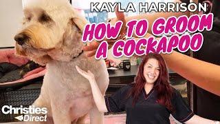 Kayla Harrison: How to Groom a Cockapoo