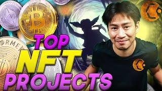 Top NFT Projects  What are the Best NFTs to Buy for Beginners?